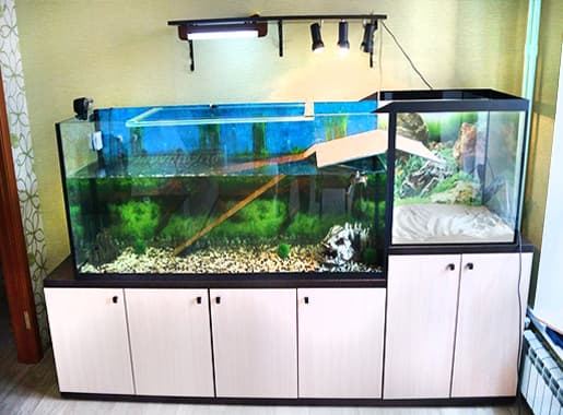 Перевозка аквариума с рыбками