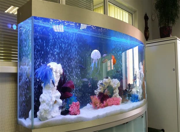 Установленный аквариум